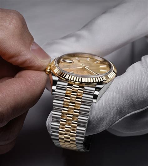 rolex ranges|rolex watches uk official site.